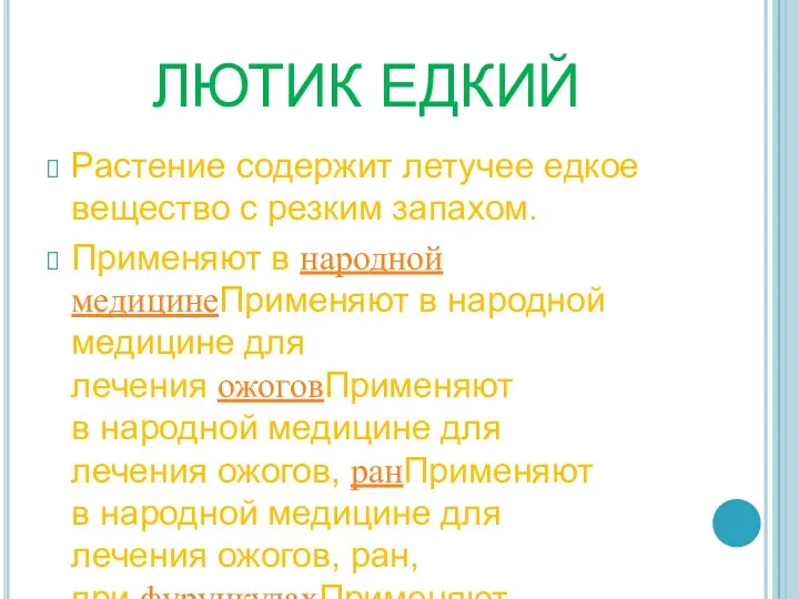 ЛЮТИК ЕДКИЙ Растение содержит летучее едкое вещество с резким запахом.