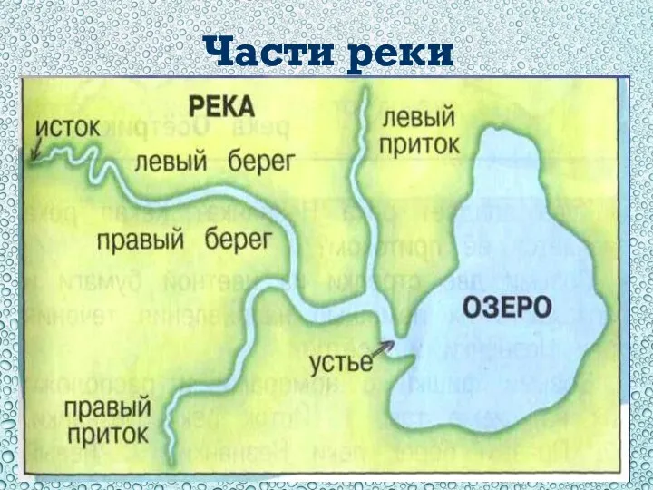 Части реки