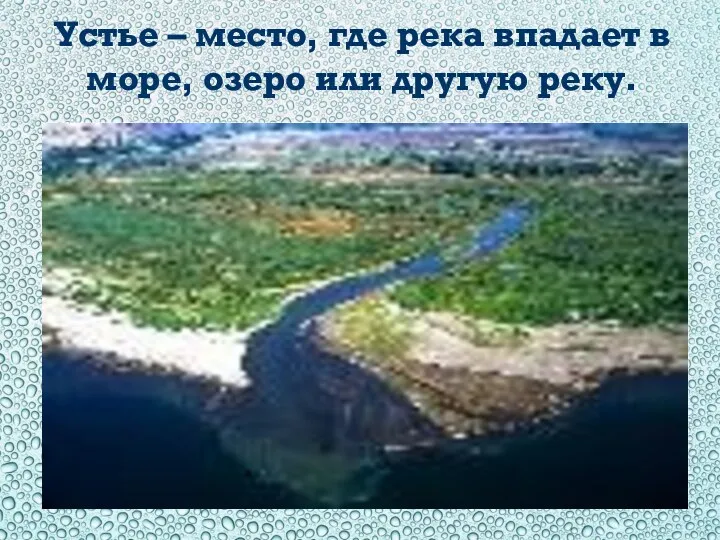 Устье – место, где река впадает в море, озеро или другую реку.