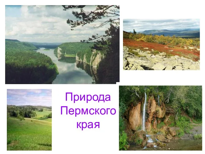 Природа Пермского края