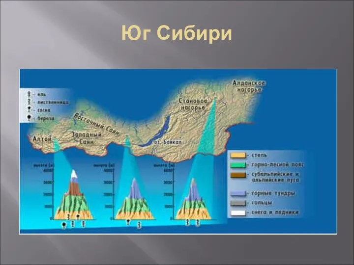 Юг Сибири