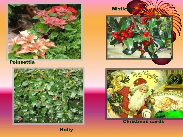 Mistletoe Christmas cards Poinsettia Holly