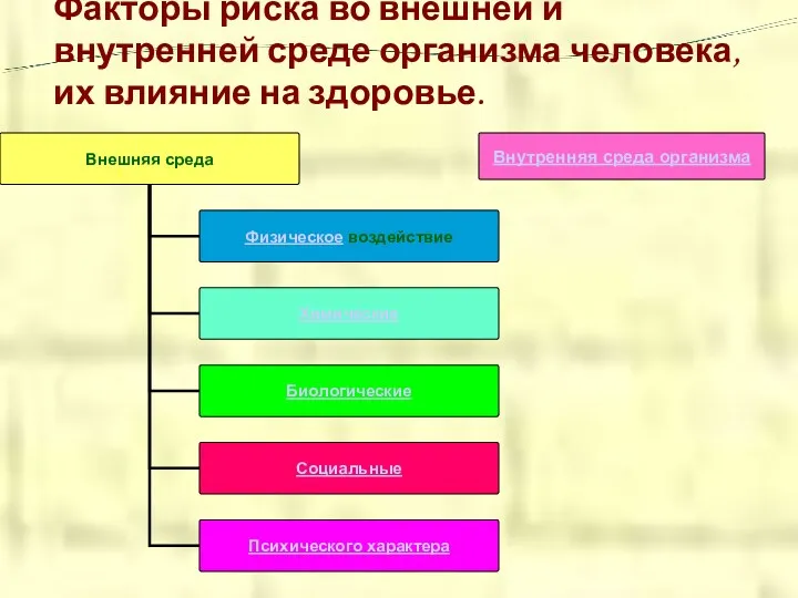 Факторы риска во внешней и внутренней среде организма человека, их влияние на здоровье. Внутренняя среда организма