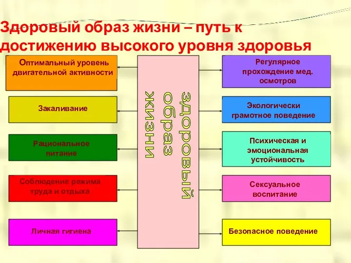 Здоровый образ жизни – путь к достижению высокого уровня здоровья здоровый образ жизни