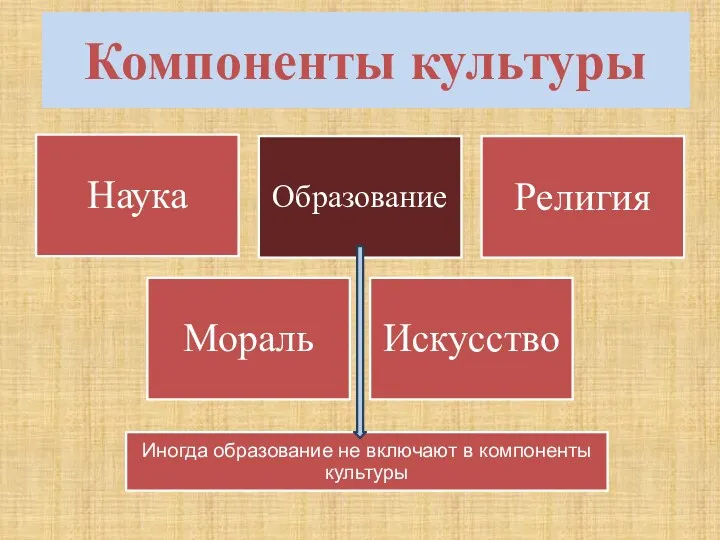 Компоненты культуры