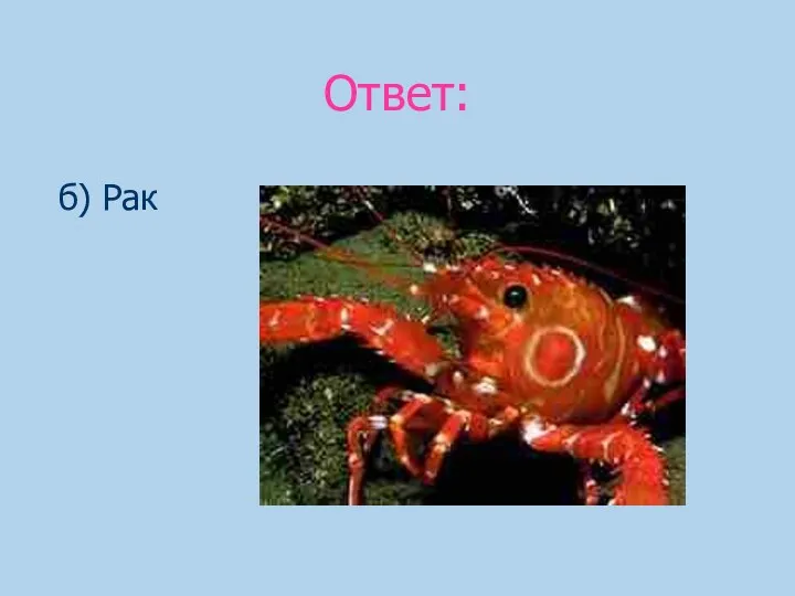 Ответ: б) Рак