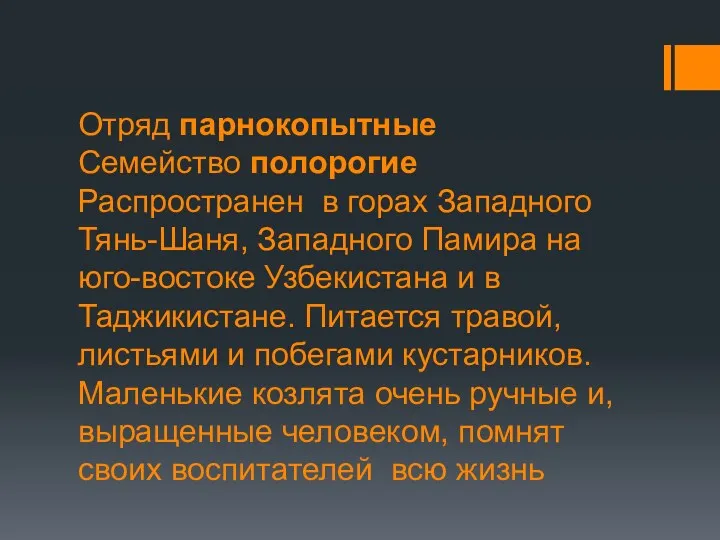 Отряд парнокопытные Семейство полорогие Распространен в горах Западного Тянь-Шаня, Западного Памира на юго-востоке