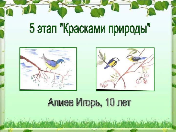5 этап "Красками природы" Алиев Игорь, 10 лет