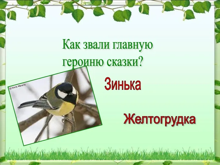 Как звали главную героиню сказки? Зинзивер Зинька Желтогрудка