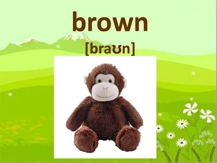 brown [braʊn]