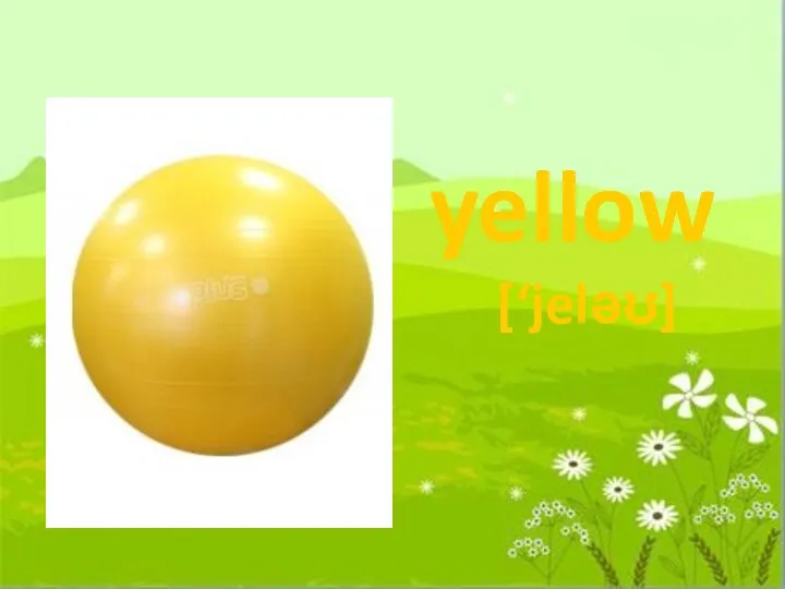 yellow [‘jelәʊ]