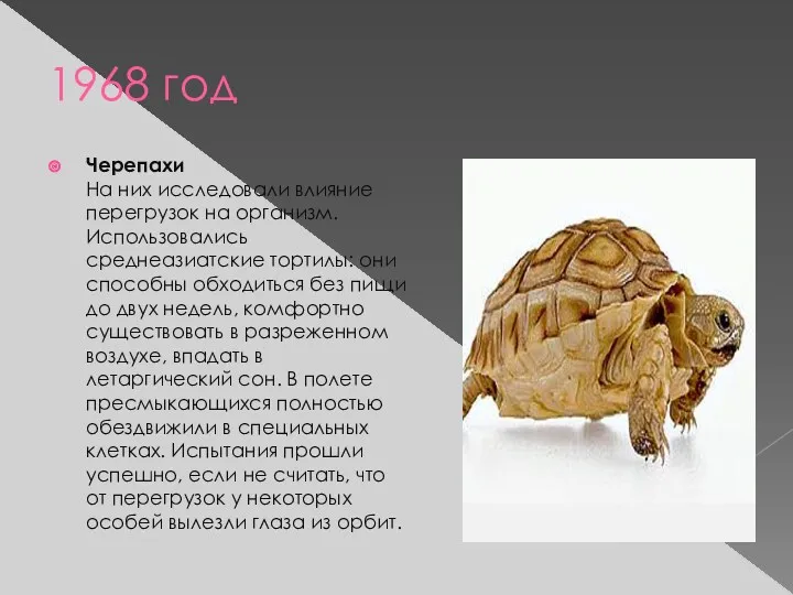 1968 год Черепахи На них исследовали влияние перегрузок на организм.