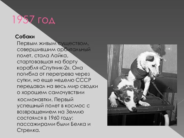 1957 год Собаки Первым живым существом, совершившим орбитальный полет, стала