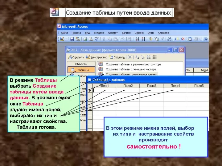 В этом режиме имена полей, выбор их типа и настраивание