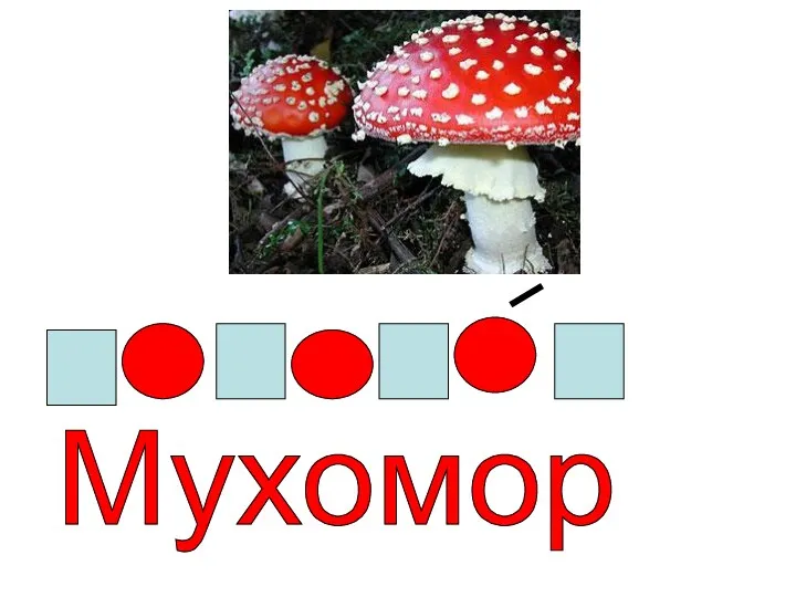 Мухомор