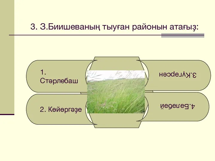 3. З.Биишеваның тыуған районын атағыҙ: 1. Стәрлебаш 2. Көйөргәҙе 4.Бәләбәй 3.Күгәрсен