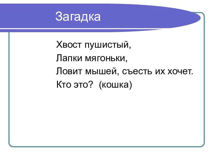 Загадка Хвост пушистый, Лапки мягоньки, Ловит мышей, съесть их хочет. Кто это? (кошка)