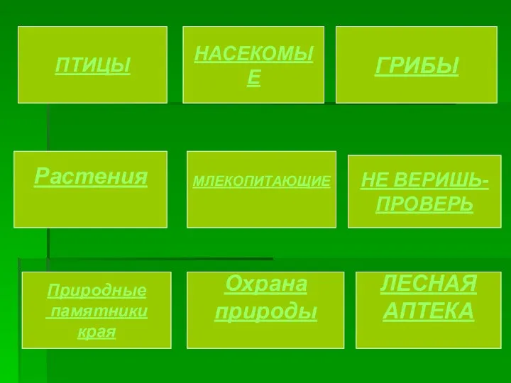 ПТИЦЫ НАСЕКОМЫЕ ГРИБЫ Растения МЛЕКОПИТАЮЩИЕ НЕ ВЕРИШЬ- ПРОВЕРЬ Природные памятники края Охрана природы ЛЕСНАЯ АПТЕКА