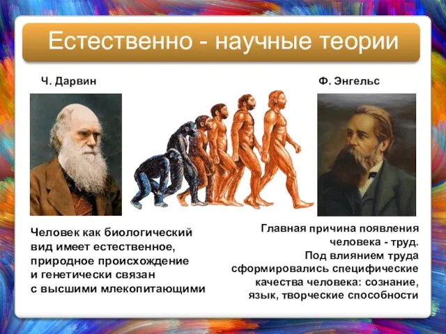 Естественно - научные теории Ч. Дарвин Ф. Энгельс Человек как биологический вид имеет