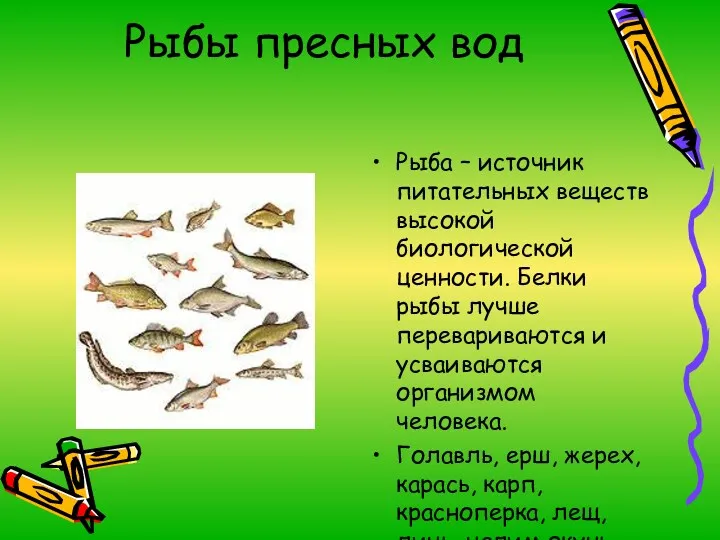 Рыбы пресных вод Рыба – источник питательных веществ высокой биологической ценности. Белки рыбы
