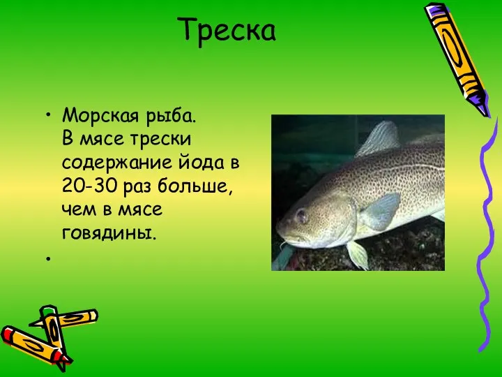 Треска Морская рыба. В мясе трески содержание йода в 20-30 раз больше, чем в мясе говядины.