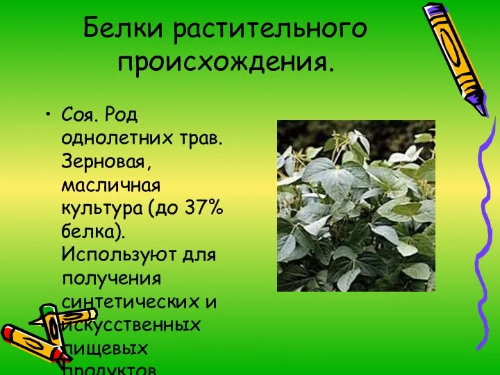 Белки растительного происхождения. Соя. Род однолетних трав. Зерновая, масличная культура (до 37% белка).