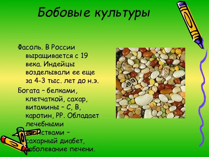 Бобовые культуры Фасоль. В России выращивается с 19 века. Индейцы возделывали ее еще