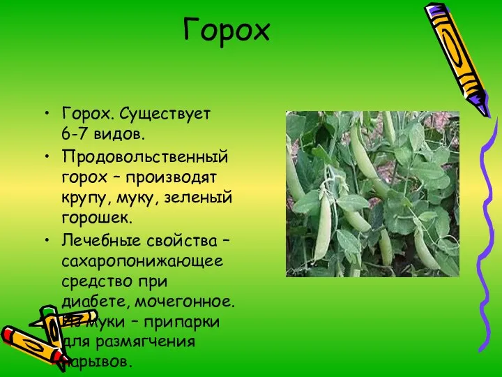 Горох Горох. Существует 6-7 видов. Продовольственный горох – производят крупу, муку, зеленый горошек.