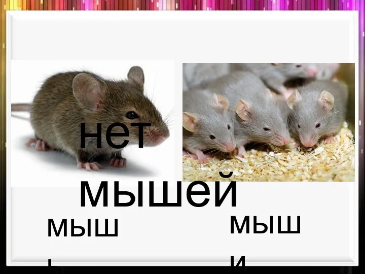 мыши мышь нет мышей