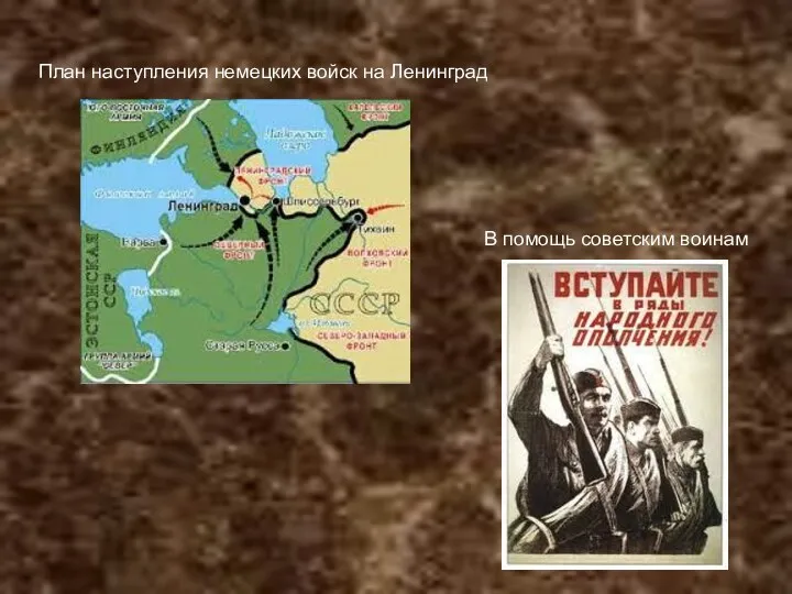 План наступления немецких войск на Ленинград В помощь советским воинам