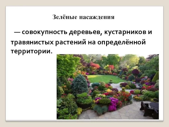 Зелёные насаждения — совокупность деревьев, кустарников и травянистых растений на определённой территории.