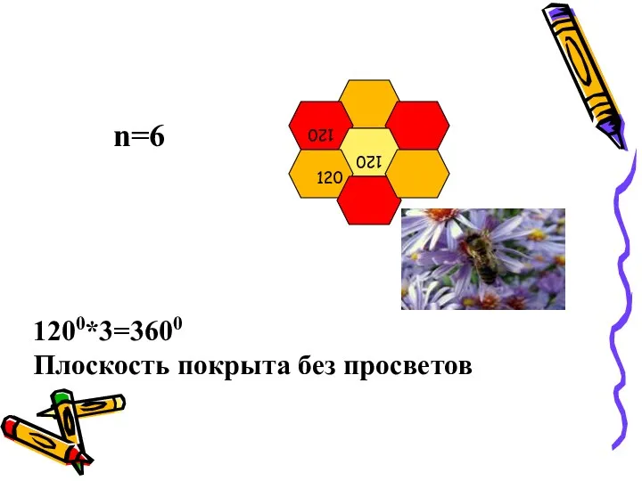 120 120 n=6 1200*3=3600 Плоскость покрыта без просветов 120