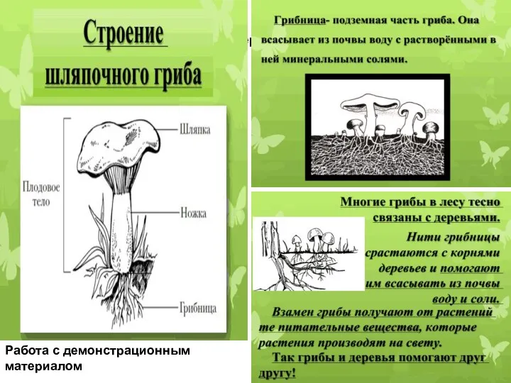 Работа с демонстрационным материалом Работа с демонстрационным материалом