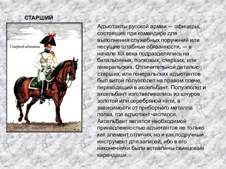 СТАРШИЙ АДЪЮТАНТ Адъютанты русской армии — офицеры, состоящие при командире