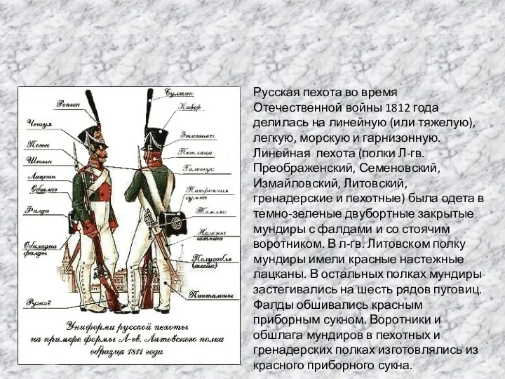 Русская пехота во время Отечественной войны 1812 года делилась на