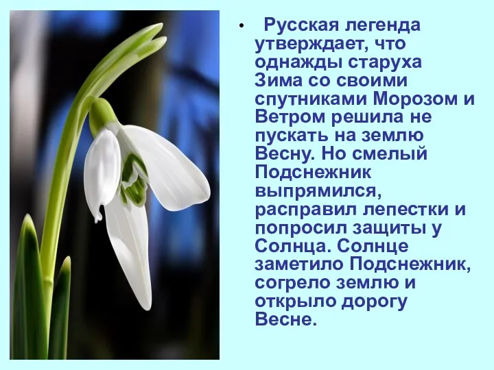 Русская легенда утверждает, что однажды старуха Зима со своими спутниками