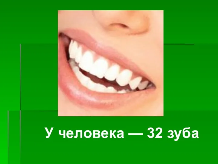У человека — 32 зуба