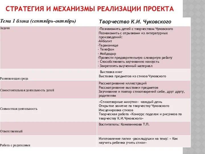 Стратегия и механизмы реализации проекта