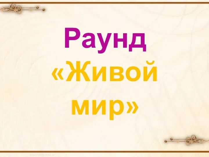 Раунд «Живой мир»