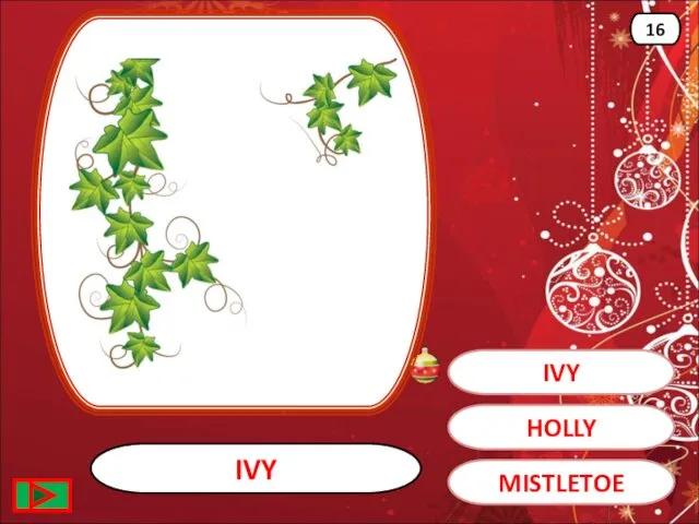 IVY IVY 16 HOLLY MISTLETOE