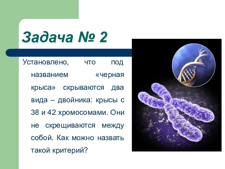 Задача № 2 Установлено, что под названием «черная крыса» скрываются