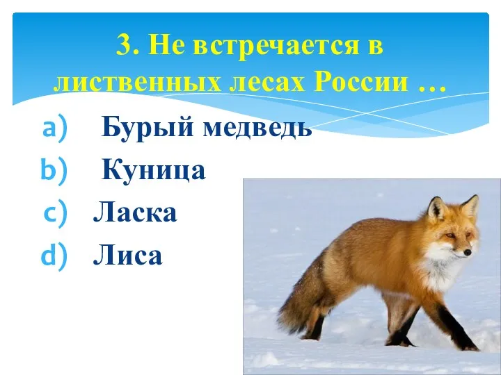 Бурый медведь Куница Ласка Лиса 3. Не встречается в лиственных лесах России …