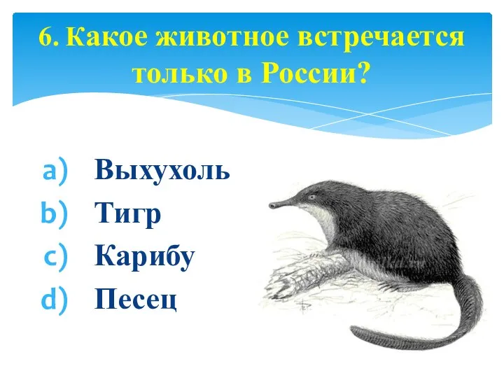 Выхухоль Тигр Карибу Песец 6. Какое животное встречается только в России?