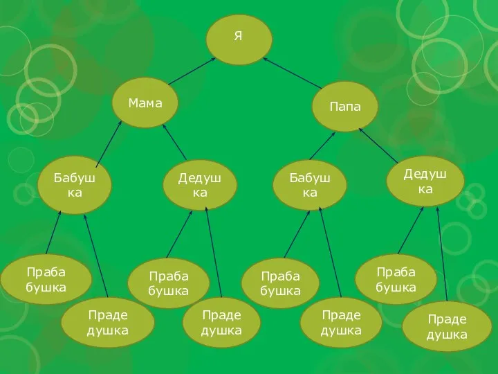 Папа Мама Дедушка Бабушка Дедушка Бабушка Праба бушка Прадедушка Праба