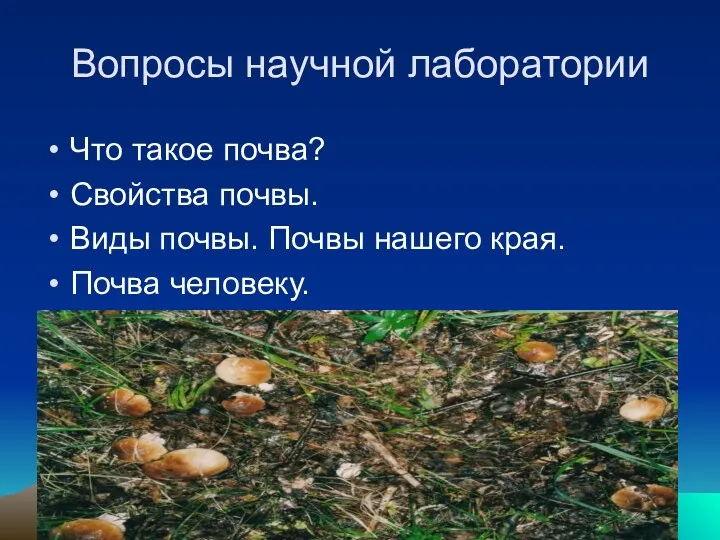 Что такое почва? Свойства почвы. Виды почвы. Почвы нашего края. Почва человеку. Вопросы научной лаборатории