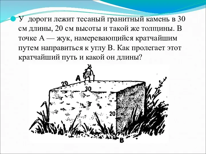 У дороги лежит тесаный гранитный камень в 30 см дли­ны, 20 см высоты