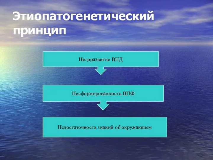 Этиопатогенетический принцип Недоразвитие ВНД Несформированность ВПФ Недостаточность знаний об окружающем