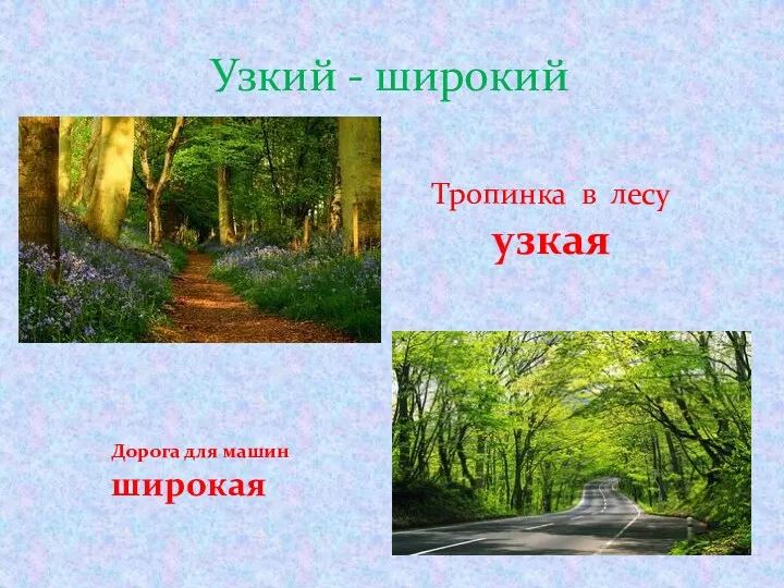 Узкий - широкий Тропинка в лесу узкая Дорога для машин широкая