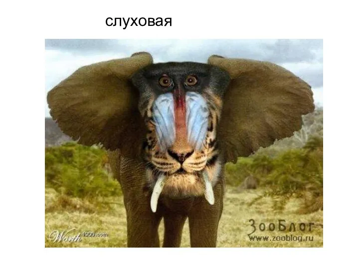 слуховая