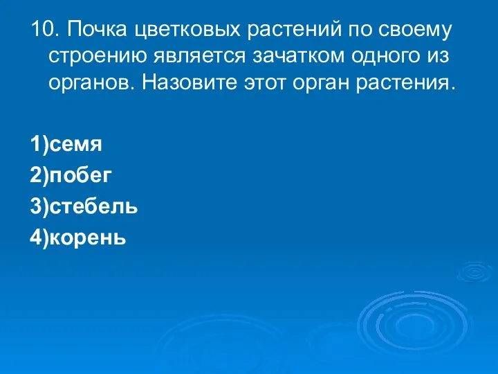 10. Почка цветковых растений по своему строению является зачатком одного